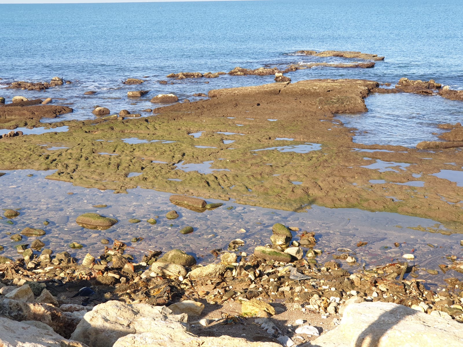 WhatsApp Image 2020-01-27 at 9.00.36 AM.jpeg.jpeg